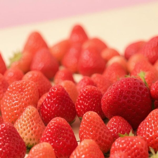 3KG Natural Ingredients Rich Flavor Premium Strawberry Jam